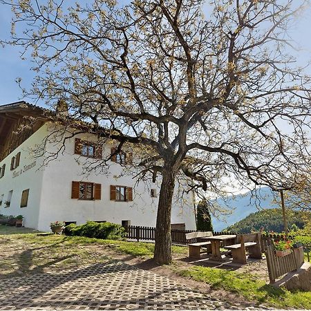 Moar Im Rumsein - Apt Etschblick San Genesio Atesino Εξωτερικό φωτογραφία